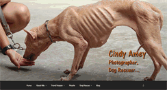 Desktop Screenshot of cindyamey.com