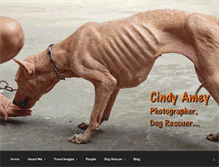 Tablet Screenshot of cindyamey.com